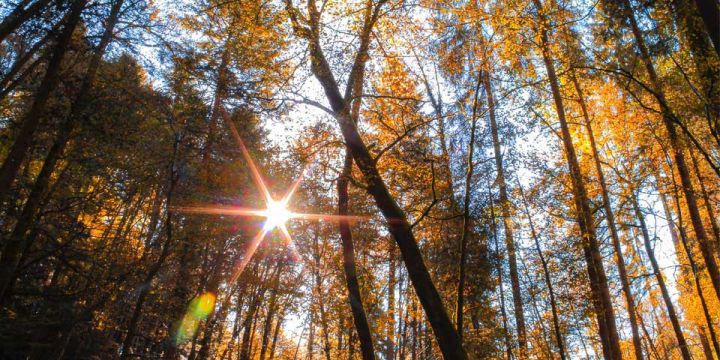 Wann ist die beste Jahreszeit für eine Brustoperation?